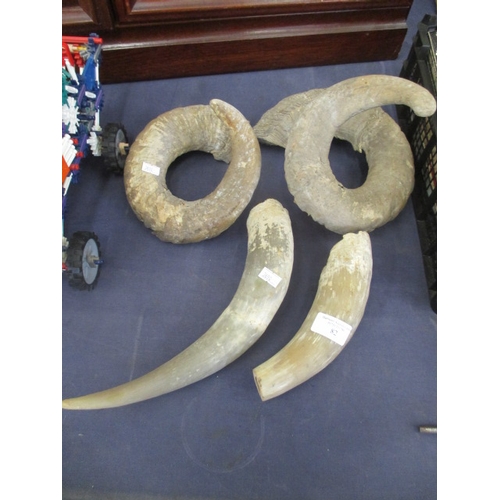 82 - 2 SETS OF FARM ANIMAL HORNS