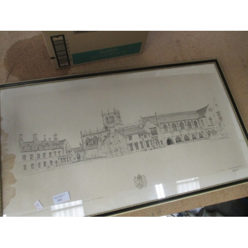 Lot 256       