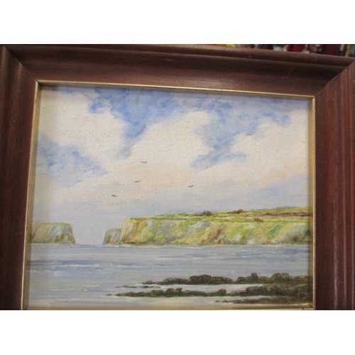 41B - 2 FRAMED OIL PAINTINGS