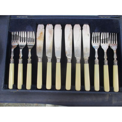 146 - SET OF BOXED FISH KNIVES AND FORKS WITH STERLING SILVER COLLARS