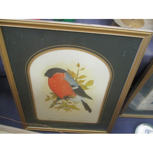 267 - FOUR FRAMED AND GLAZED BIRD PRINTS