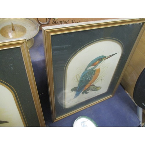 267 - FOUR FRAMED AND GLAZED BIRD PRINTS