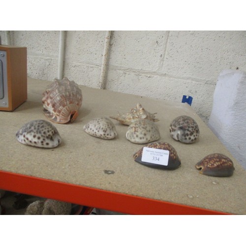 334 - SELECTION OF SEA SHELLS