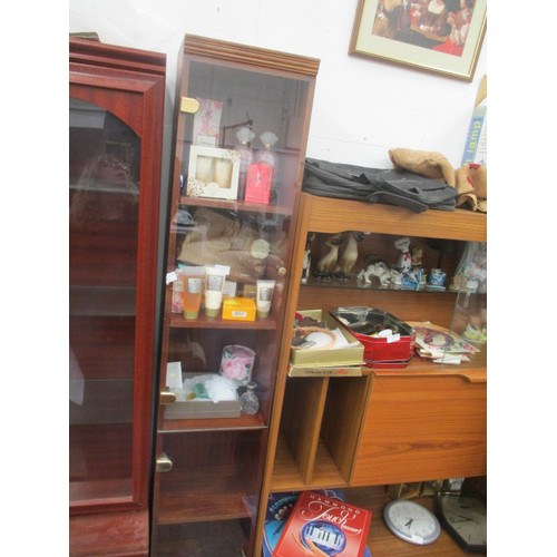 420 - 2 GLASS DOOR NARROW DISPLAY CABINET