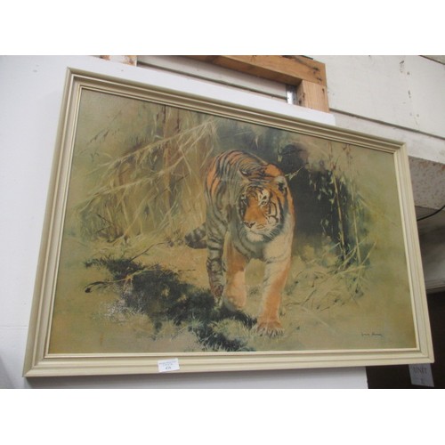 438 - LARGE FRAMED PRINT OF A TIGER