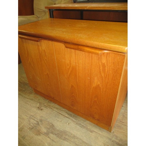 300G - TEAK EFFECT 2 DOOR  CUPBOARD