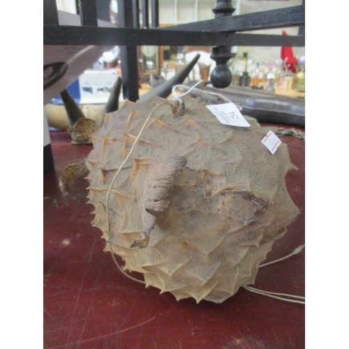254 - PUFFER FISH