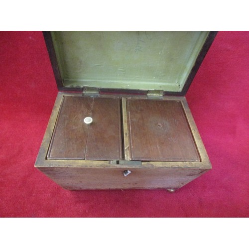 4 - LATE GEORGE III ROSEWOOD SARCOPHAGUS TEA CADDY