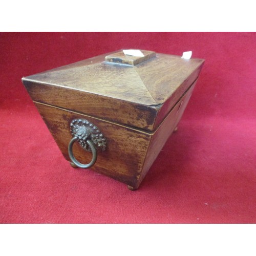 4 - LATE GEORGE III ROSEWOOD SARCOPHAGUS TEA CADDY