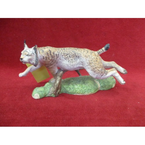 Lot 315       