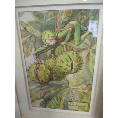 114 - 3 FRAMED & GLAZED FLOWER FAIRY PRINTS (BOOK ILLUSTRATIONS) BY CICELY MARY BARKER