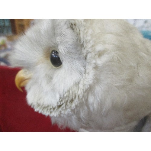 122 - TAXIDERMY BARN OWL ON BRANCH, 48CM TOTAL HEIGHT