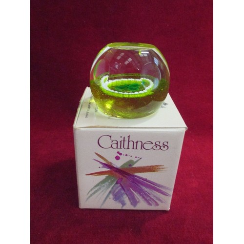 10 - CAITHNESS MINIATURE SHAMROCK PAPERWEIGHT WITH BOX