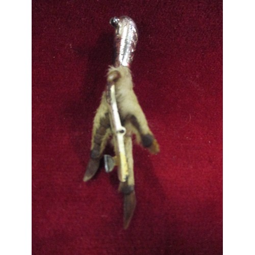 27 - SILVER GROUSE FOOT BROOCH, GLASGOW 1953 - PIN MISSING, MAKER WBs