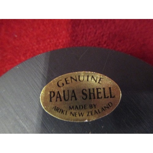 41 - GENUINE PAUA SHELL RESIN COASTERS