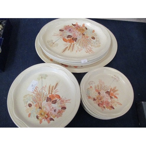 65 - 16 POOLE SUMMER GLORY PLATES