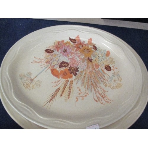 65 - 16 POOLE SUMMER GLORY PLATES