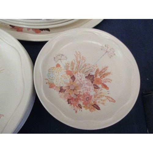 65 - 16 POOLE SUMMER GLORY PLATES