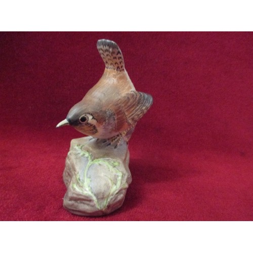 5 - COALPORT PORCELAIN RSPB WREN