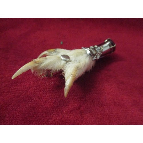 13 - SCOTTISH GROUSE CLAW BROOCH WITH AMBER COLOURED STONE