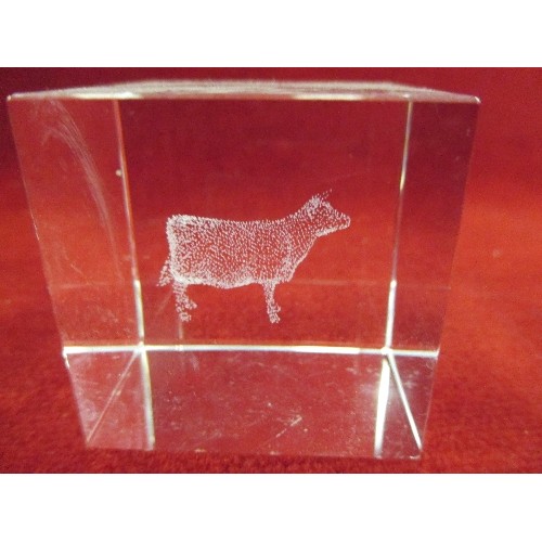 307 - PAPERWEIGHTS AND GLASS SCULPTURE INCL 3D LASER SHEEP SCULPTURE