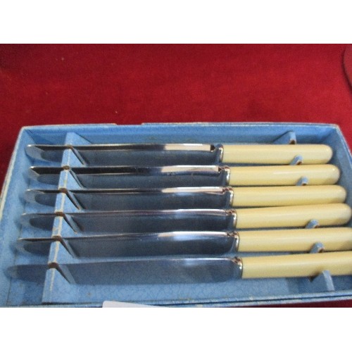 304 - BOXED SET OF 6 VINTAGE RODGERS OF SHEFFIELD TABLE KNIVES AND A CAKE KNIFE