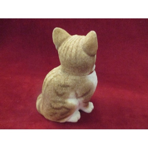 12 - SHERRATT & SIMPSON MODEL OF A SEATED CAT WITH COLLAR - 17CM