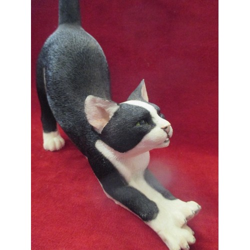 13 - SHERRATT & SIMPSON MODEL OF A BLACK AND WHITE STRETCHING CAT - 28CM X 33CM