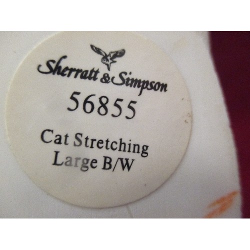 13 - SHERRATT & SIMPSON MODEL OF A BLACK AND WHITE STRETCHING CAT - 28CM X 33CM