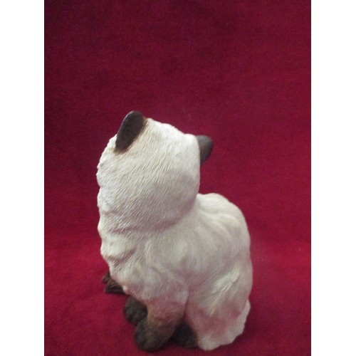 14 - SHERRATT & SIMPSON MODEL OF A PERSIAN CAT SITTING - 18CM