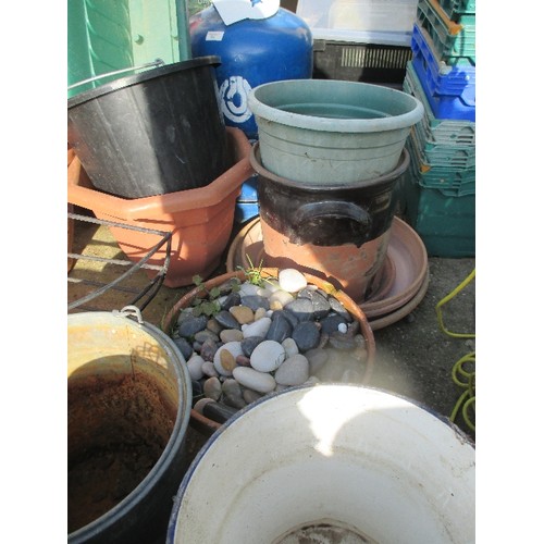 529 - LARGE QUANTITY OF PLASTIC, TERRACOTTA & ENAMEL PLANTERS & A  METAL WALL BASKET