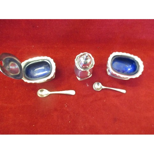 83 - SILVER PLATED CRUET SET WITH BLUE LINERS AND SPOONS