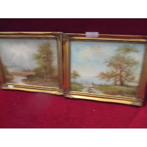 116 - 2 OIL ON CANVAS PAINTINGS IN GILT FRAMES