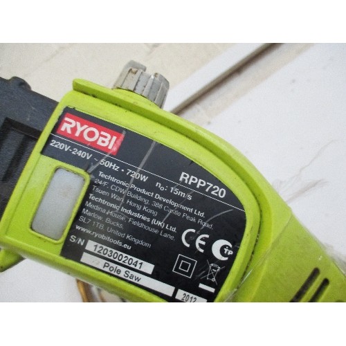 151 - RYOBI POLE SAW