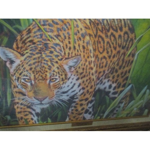 59 - FRAMED LIMITED EDITION 6/50 OF A JAGUAR BY STEPHEN GAYFORD IN GILT FRAME - 80CM X 62CM - BRAND NEW I... 