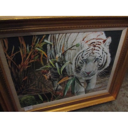 60 - FRAMED LIMITED EDITION PRINT (300) OF A WHITE TIGER BY STEPHEN GAYFORD IN A GILT FRAME - CERTIFICATE... 