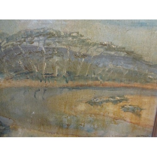 167 - AUSTRALIAN OIL PAINTING OF NARRAWALLEE INLET, NEW SOUTH WALES, SIGNED BY THE ARTIST G W PAINE, 1973 ... 