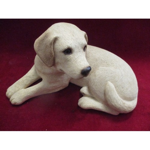 255 - SANDCAST HANDPAINTED LABRADOR FIGURES WITH GLASS EYES - 