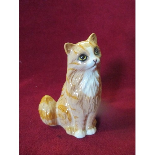 6 - ROYAL DOULTON BONE CHINA GINGER CAT FIGURE WITH ORIGINAL BOX - 10CM