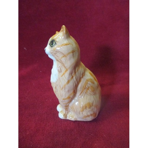 6 - ROYAL DOULTON BONE CHINA GINGER CAT FIGURE WITH ORIGINAL BOX - 10CM