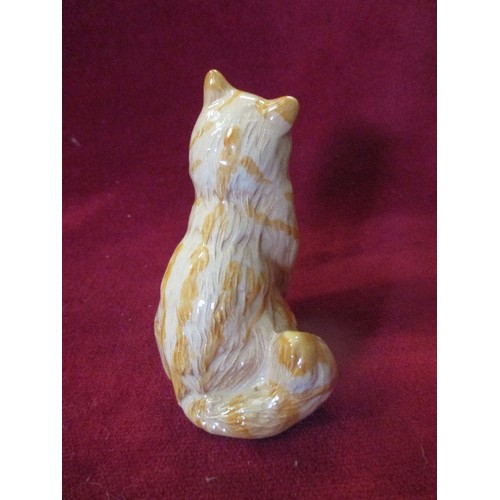 6 - ROYAL DOULTON BONE CHINA GINGER CAT FIGURE WITH ORIGINAL BOX - 10CM