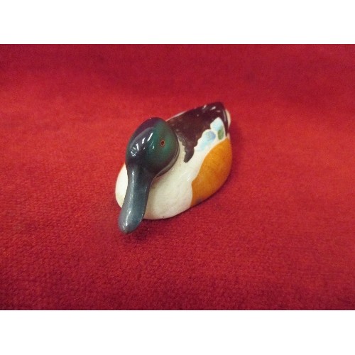 16 - BESWICK PETER SCOTT SHOVELER DUCK - 9CM - SMALL CHIP TO UNDERSIDE OF TAIL