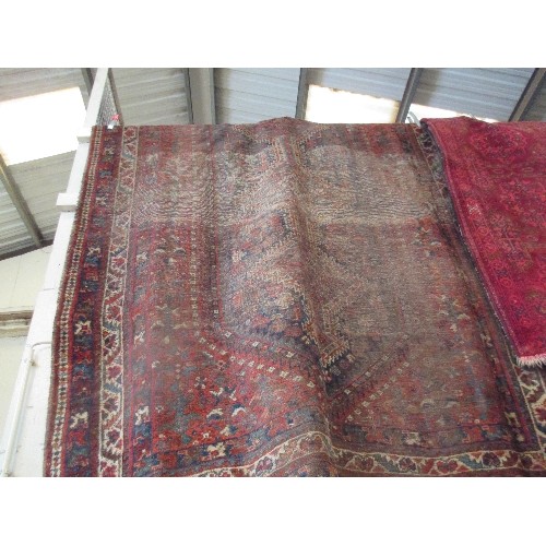 301 - LARGE ANTIQUE HAND KNOTTED CARPET - PROBABLY AFGHAN - SOME WEAR TO PILE BUT LOVELY SHADES OF TERRACO... 