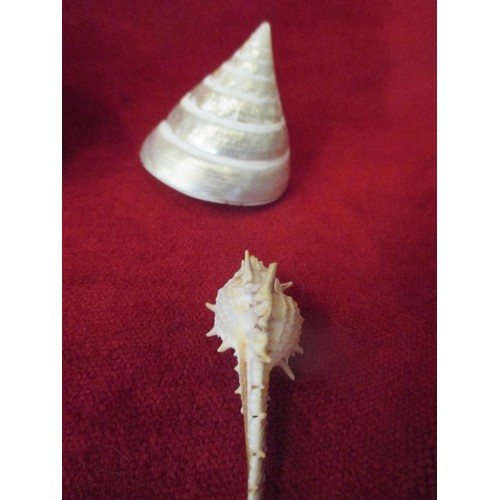 74A - 8 ONYX EGGS AND 4 SHELLS