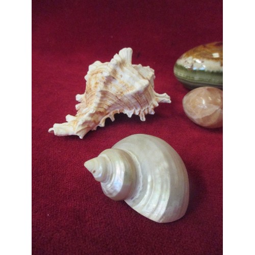 74A - 8 ONYX EGGS AND 4 SHELLS