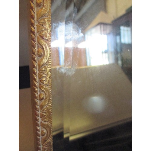 67 - GILT FRAMED BEVEL EDGED WALL HANGING MIRROR