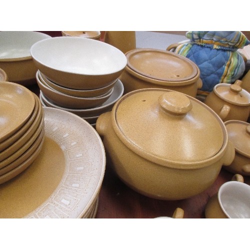 313 - LARGE QUANTITY OF DENBY 