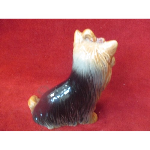 2 - SYLVAC YORKSHIRE TERRIER - MODEL 5027 WITH IMPRESSED MARKS AND PAPER LABEL - 15CM