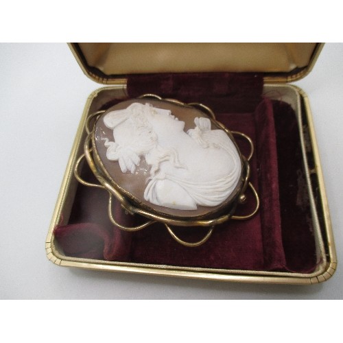 51 - VERY LARGE SHELL CAMEO BROOCH SET IN GOLD METAL 80 X 65 MM