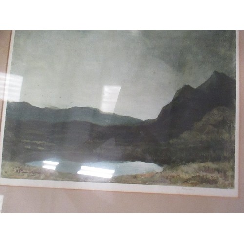 358 - SIGNED ARTISTS PROOF ETCHING OF A MOUNTAIN LANDSCAPE WITH LAKE 